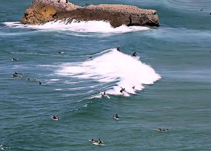 Navigator Aparthotel